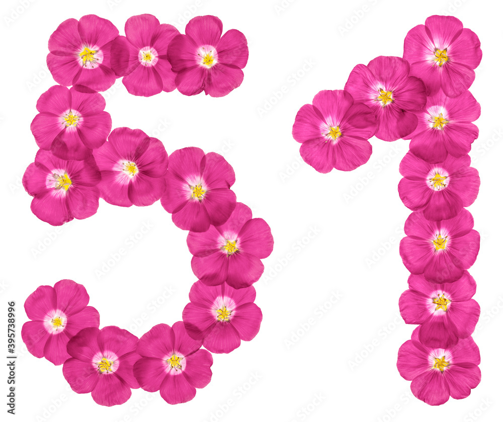 Arabic numeral 51, fifty one, from pink flowers of flax, isolated on white background Arabic numeral 51, fifty one, from pink flowers of flax, isolated on white background