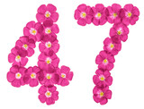 Arabic numeral 47, forty seven, from pink flowers of flax, isolated on white background