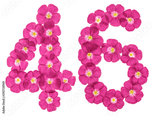 Arabic numeral 46  forty six  from pink flowers of flax  isolated on white background