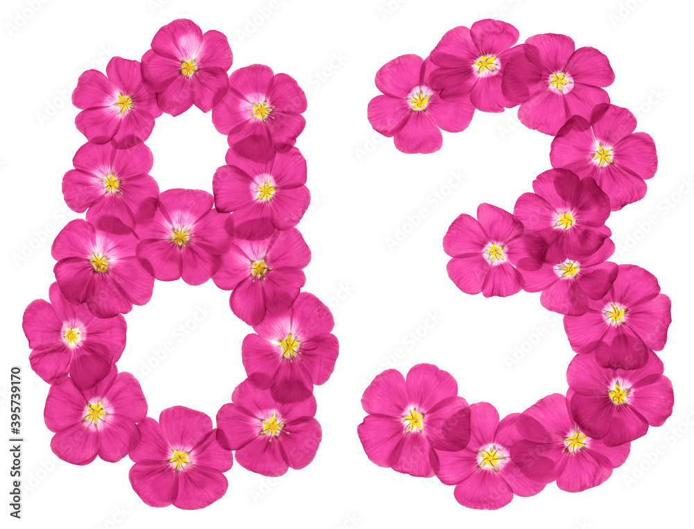 Arabic numeral 83, eighty three, from pink flowers of flax, isolated on white background