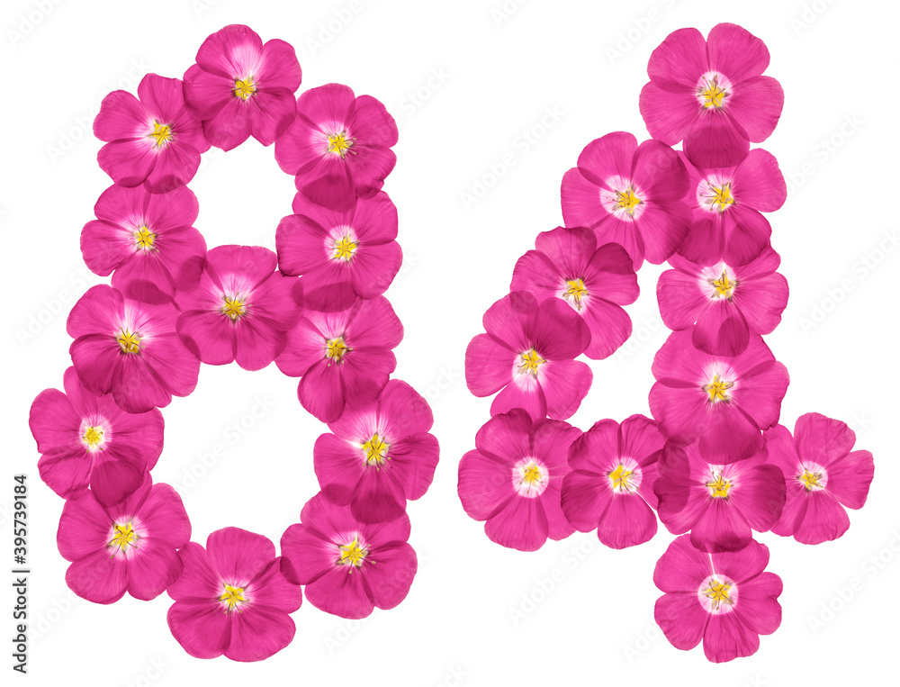 Arabic numeral 84, eighty four, from pink flowers of flax, isolated on white background