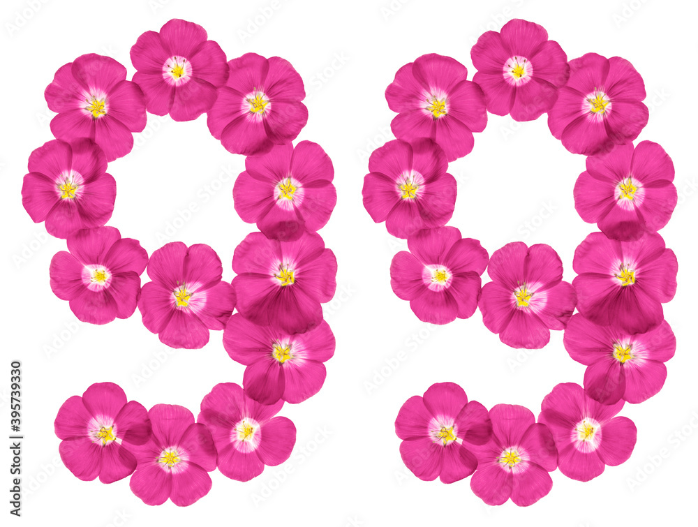 Arabic numeral 99, ninety nine, from pink flowers of flax, isolated on white background