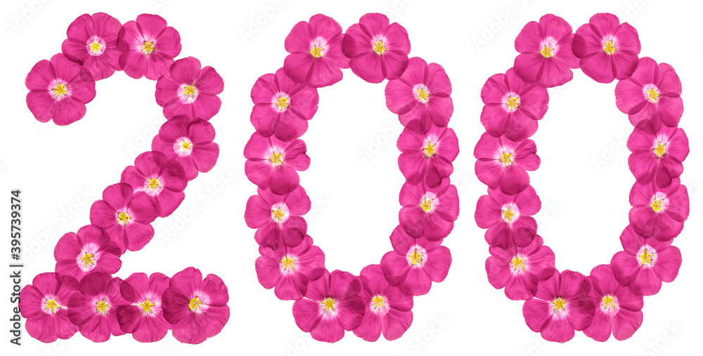 Arabic numeral 200, two hundred, from pink flowers of flax, isolated on white background