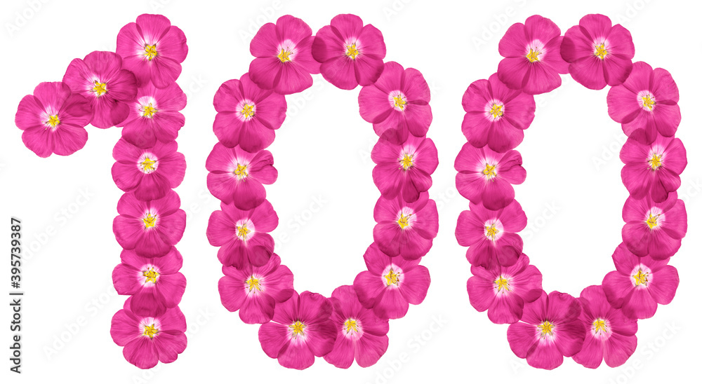 Arabic numeral 100, one hundred, from pink flowers of flax, isolated on white background