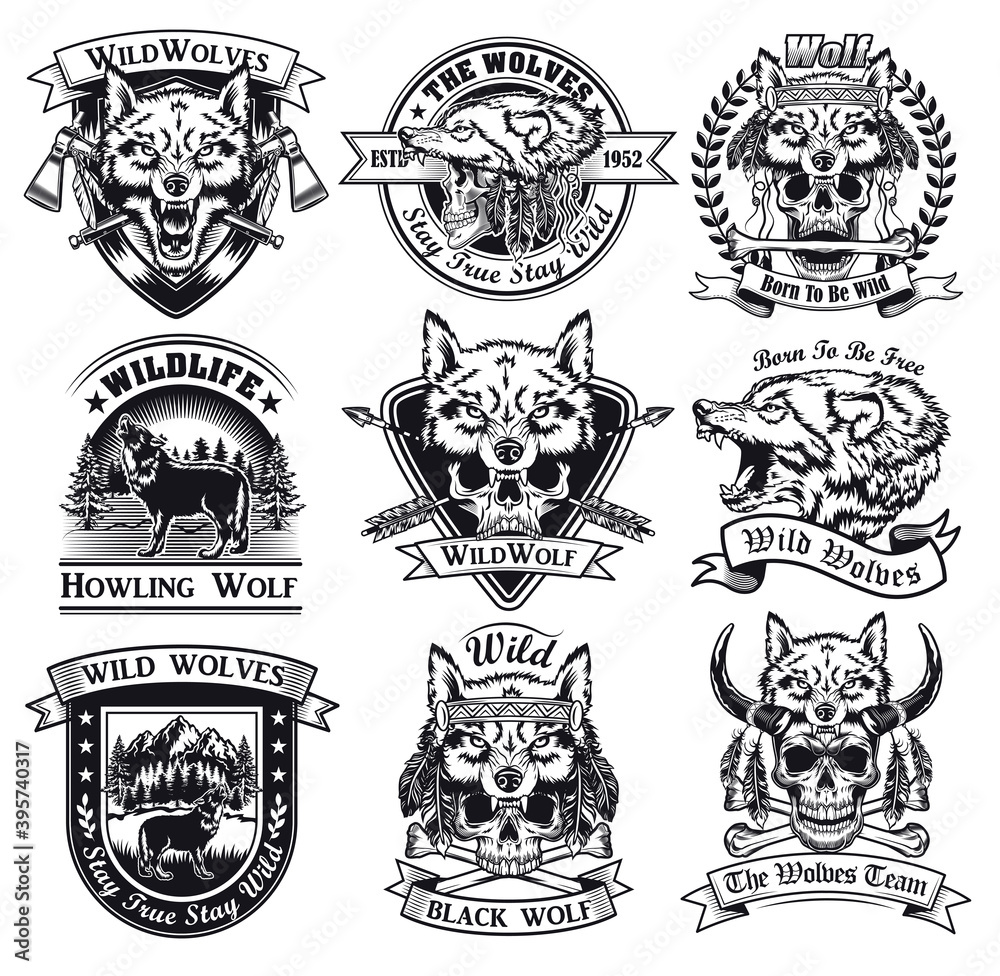 Fotografie Grinning and howling wolves set