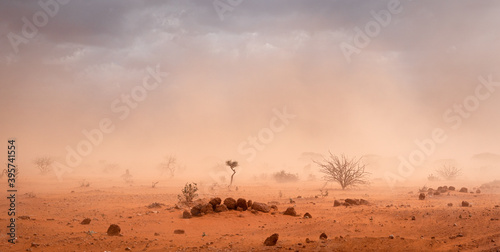 Fototapeta Dusty Sandstorm in Ethiopian Desert