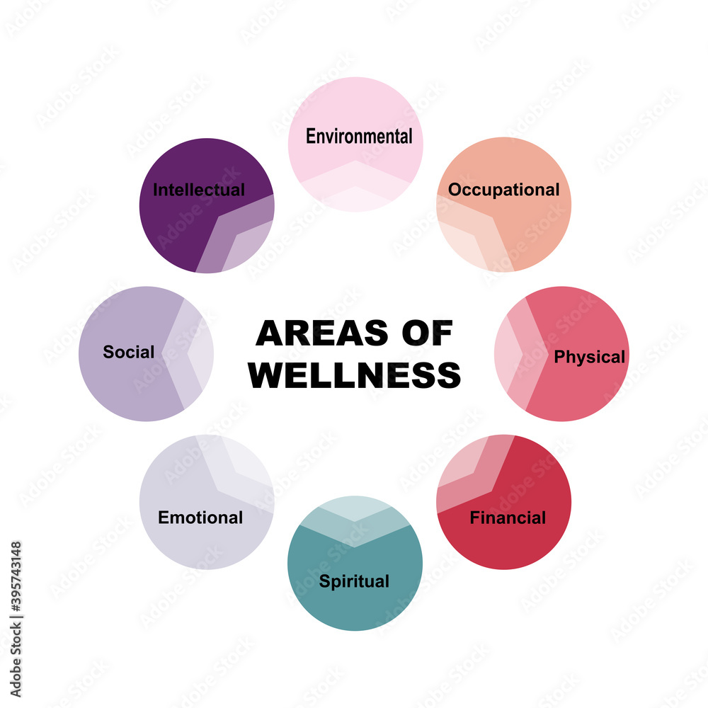 Diagram of Areas of Wellness with keywords. EPS 10 - isolated on white background Diagram of Areas of Wellness with keywords. EPS 10 - isolated on white background