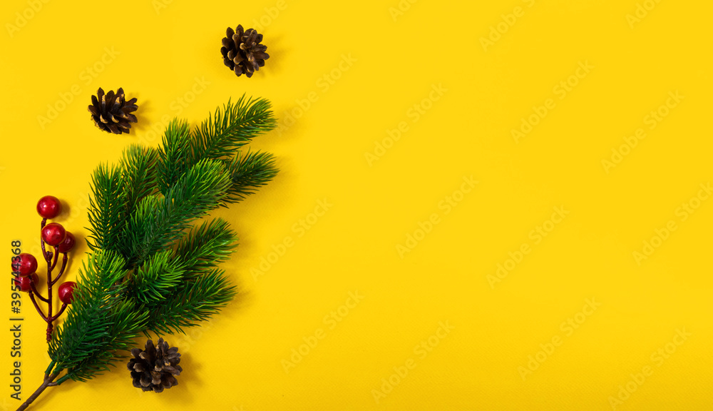 Forest composition, cones, berries and green fir branches, yellow background with copy space, banner