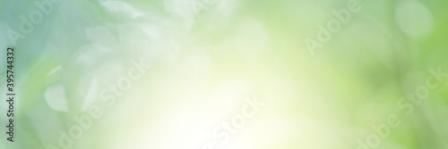 Green light leaves blurred and blur natural abstract. Effect sunlight  soft bright shiny style  bokeh circle yellow and orange blurry morning . For wallpaper backdrop and background.
