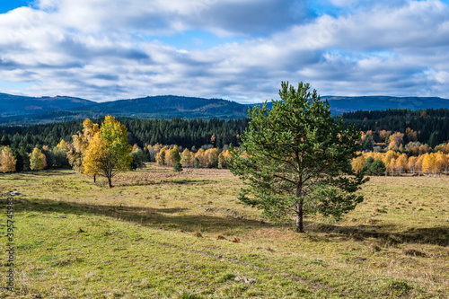 Fototapeta Naklejka Na Ścianę i Meble -  Beautiful landscape of the Czech Republic area of the Sumava National Park.