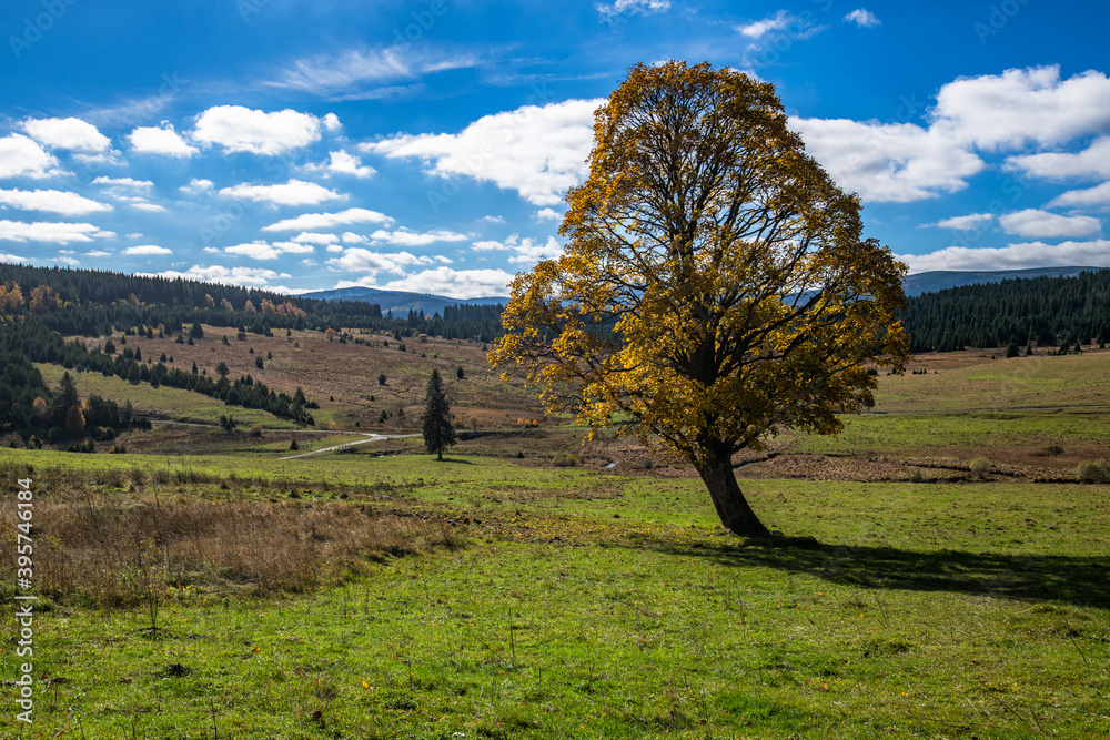 Beautiful landscape of the Czech Republic area of the Sumava National Park. Beautiful landscape of the Czech Republic area of the Sumava National Park.