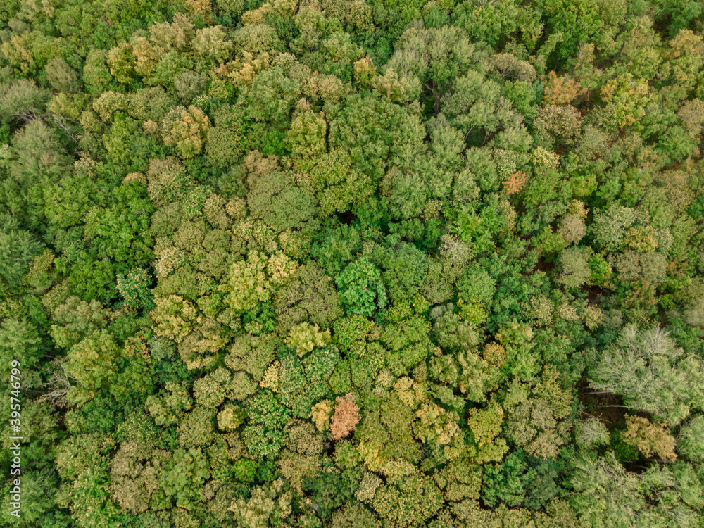 Aerial view of the canopy of Touraine, Loire Valley, France Aerial view of the canopy of Touraine, Loire Valley, France