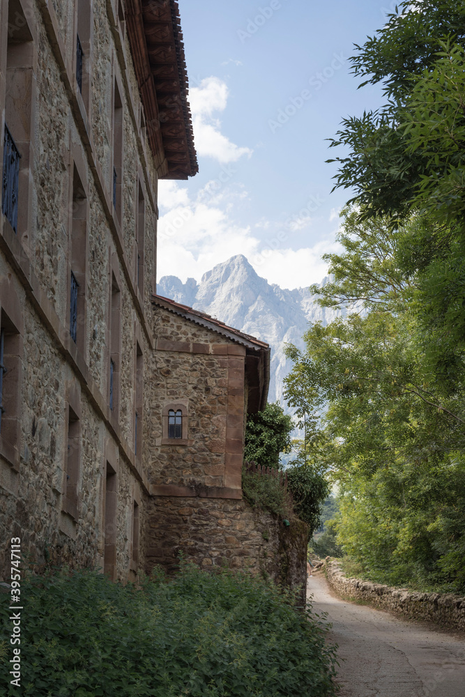 Vertical shot of the old buildings with mountains in the background in Mogrovejo, Spain