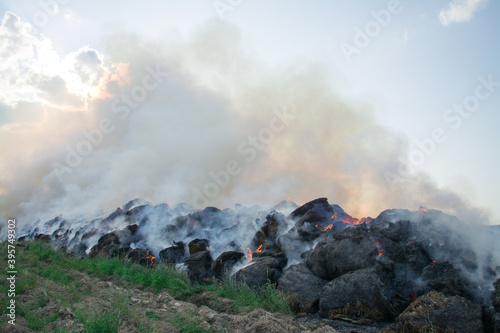 agricultural disaster, wheat field fire