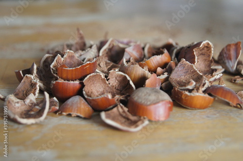 nuts hazelnuts are lying on a table photo