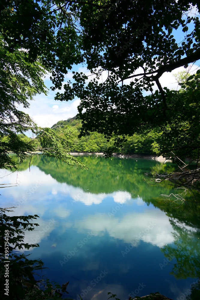 白神山地の名所、十二湖。深浦、青森、日本。9月中旬。