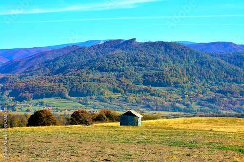 Shot of a mountain autumn forest photo