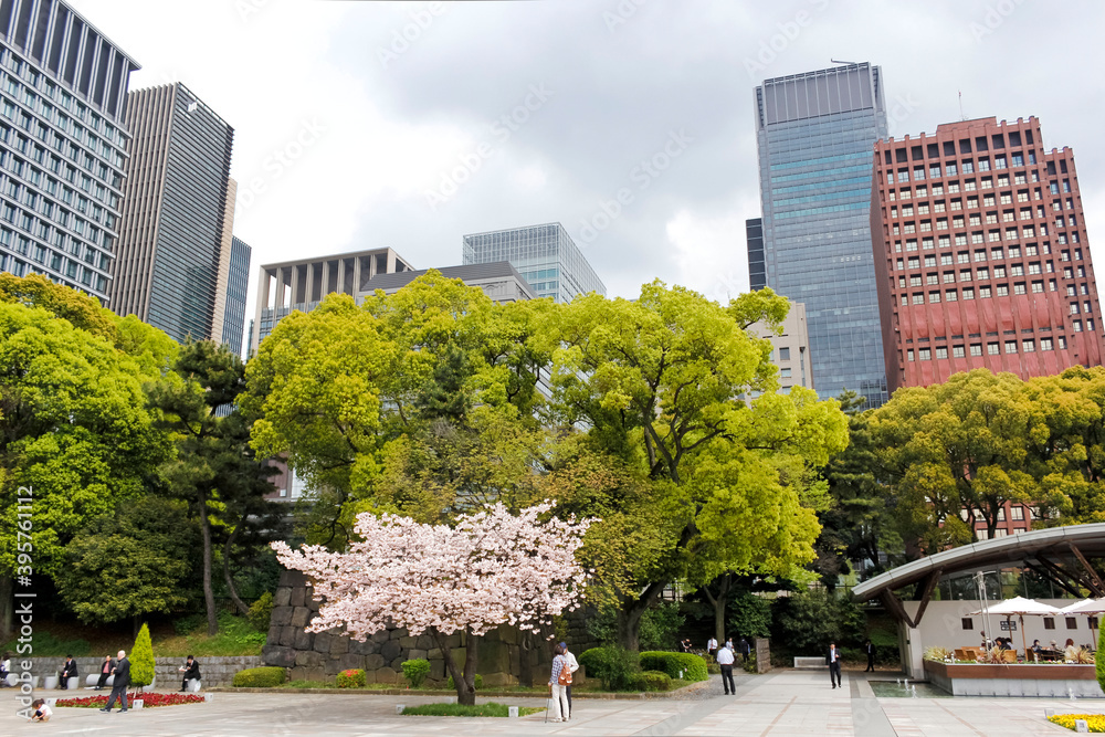 Central park in Chiyoda, Toyko, Japan. Close to the emperor palace. April 2015. Central park in Chiyoda, Toyko, Japan. Close to the emperor palace. April 2015.