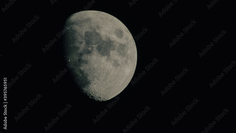 Fototapeta premium moon