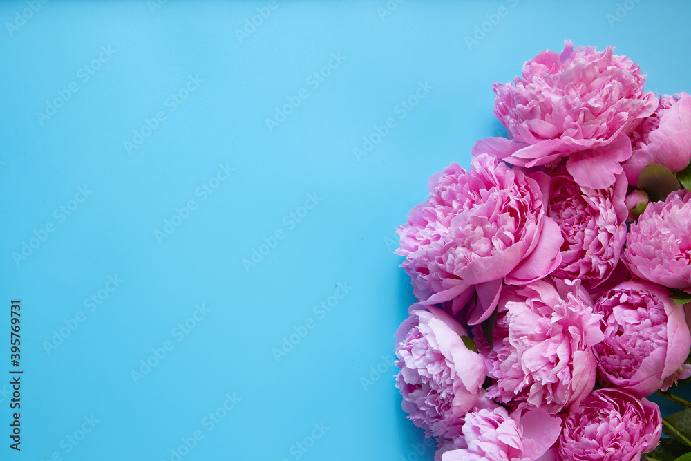 Blue background with flowers and place for text. Pink peonies as decoration for invitation card.