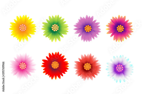 beautiful flowers, flowers set illustration, Spring or summer design.