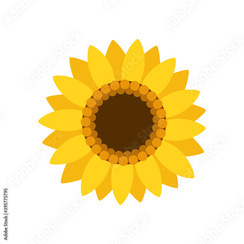 Sunflower isolated on white background. Sunflower in flat style. Nature concept. Vector stock
