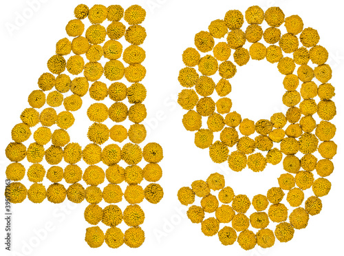 Arabic numeral 49, forty nine, from yellow flowers of tansy, isolated on white background photo