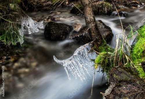 Icing on trees at stream bed. Flowing water photo