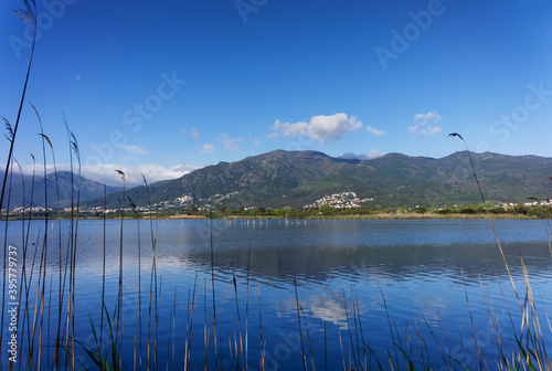 Biguglia lagoon in the eastern coast of Corsica