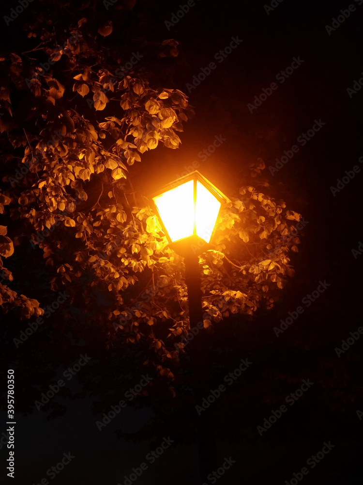 Bright evening lantern in St Petersburg.