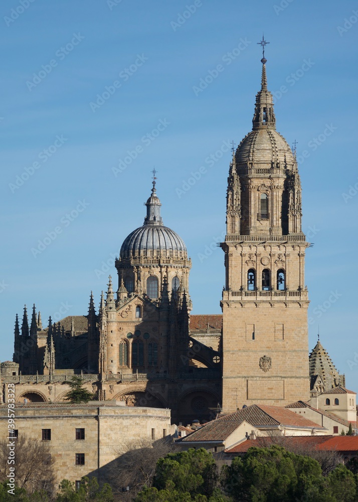 Cathedrals of Salamanca, Spain