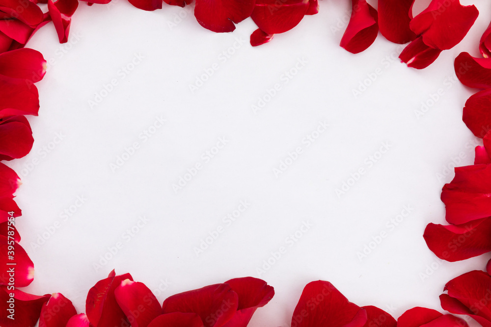 Fototapeta premium Frame of multiple red rose petals on white background
