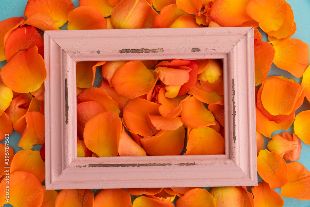 Fototapeta premium Close up of orange rose petals with red rustic frame on blue background