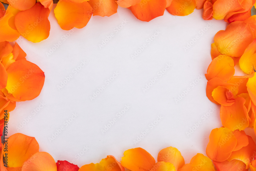 Fototapeta premium Frame of multiple orange rose petals on white background