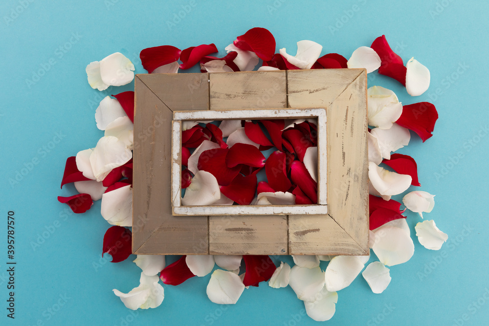 Fototapeta premium Wooden frame over white and red rose petals on blue background