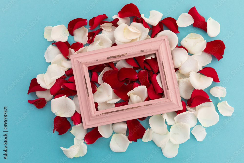 Fototapeta premium White and red rose petals with pink rustic frame on blue background