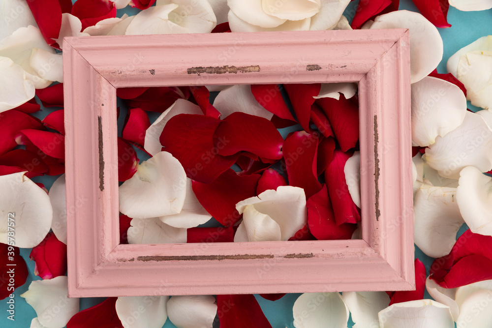 Fototapeta premium Close up of white and red rose petals with pink rustic frame on blue background
