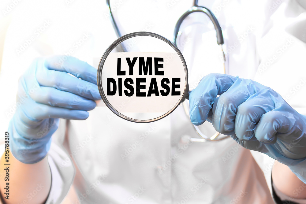 The doctor's blue - gloved hands show the word LYME DISEASE - . a gloved hand on a white background. Medical concept. the medicine The doctor's blue - gloved hands show the word LYME DISEASE - . a gloved hand on a white background. Medical concept. the medicine