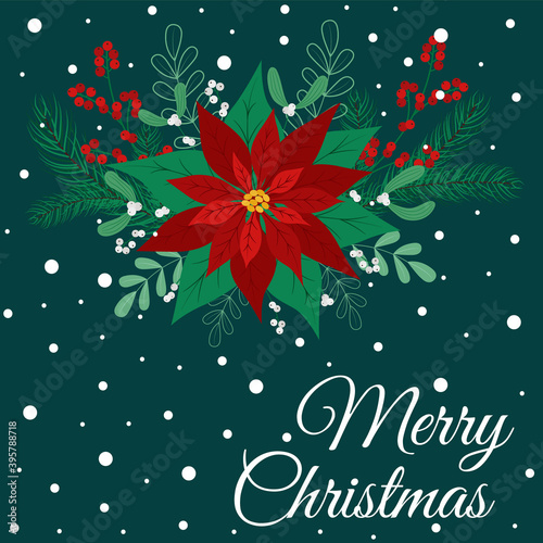 Christmas greeting card with poinsettia and mistletoe decoration