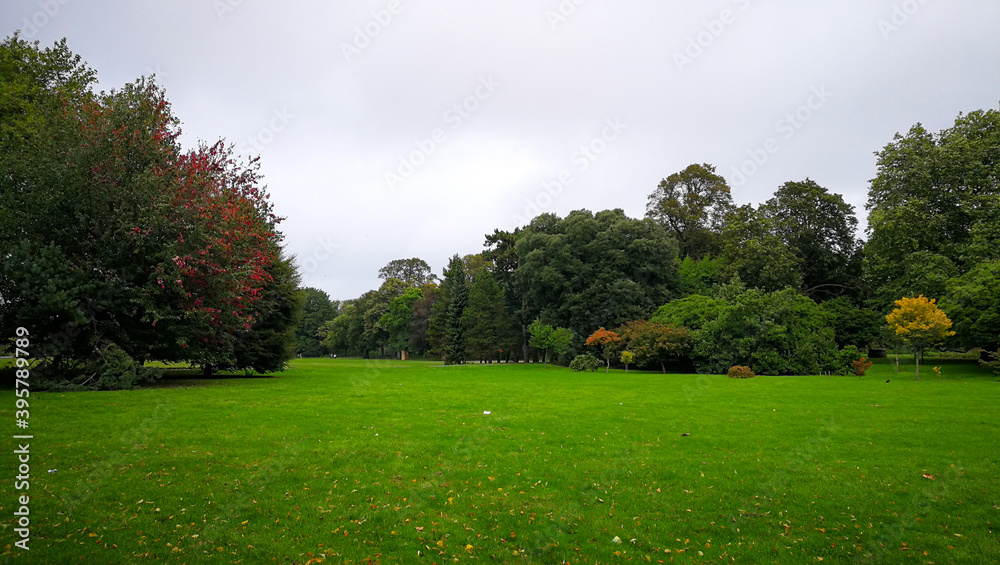 Naklejka premium Green open area in park