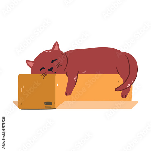 Tired sleeping ginger cat on a box. Flat illustration. 