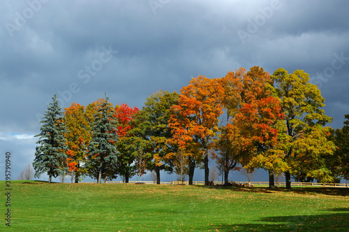 Row of colorful fall trees with storm clouds