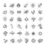 Set of Outline Natural Icons Vector Illustration