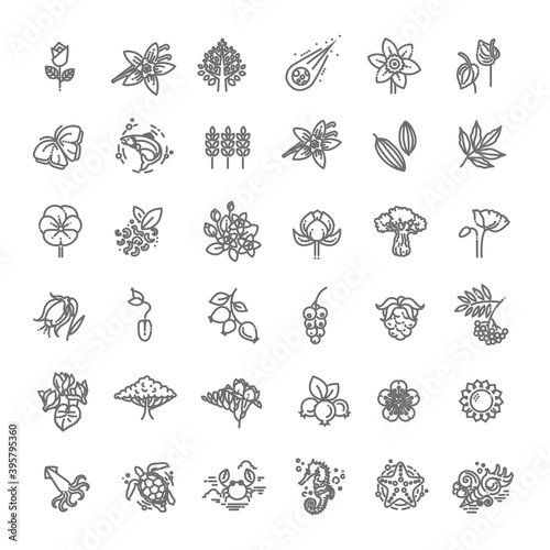 Set of Outline Natural Icons Vector Illustration