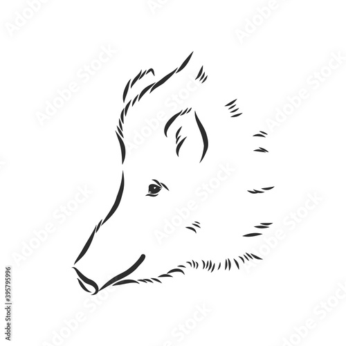 Sketch grunge wild boar in the profile.Stock vector illustration., wild boar vector sketch illustration