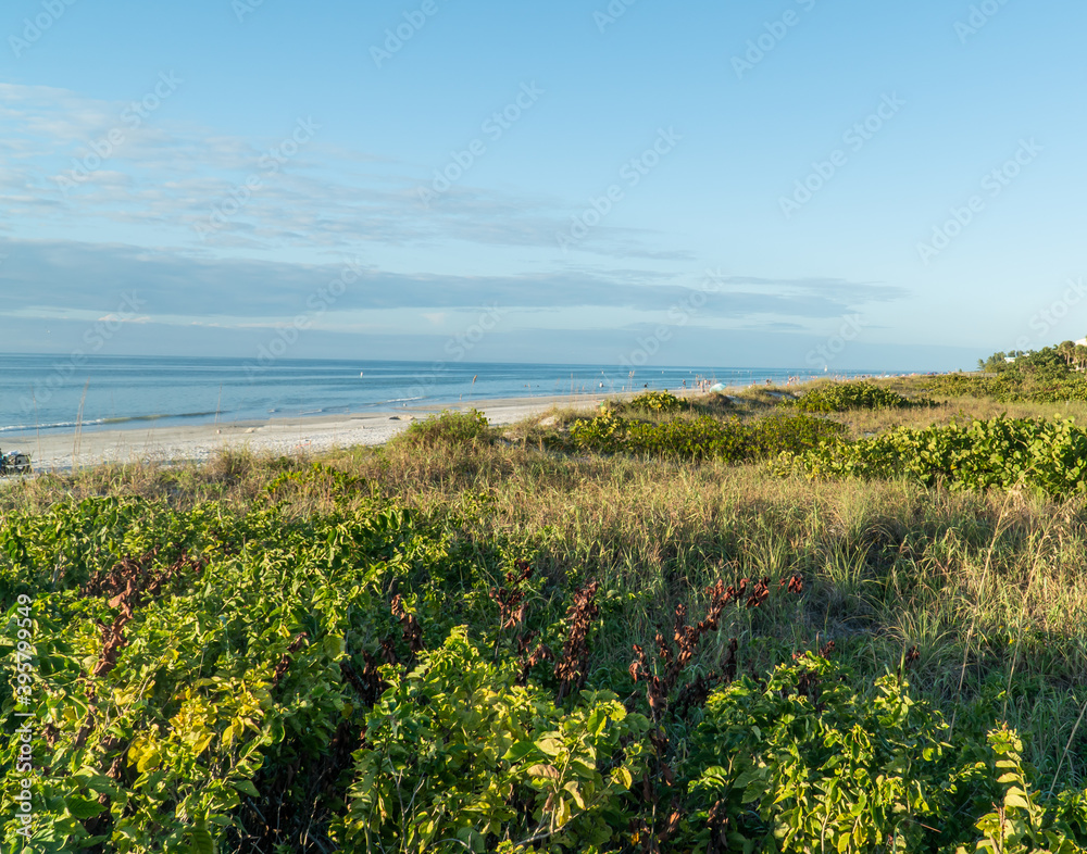 White sand beache at Indian Rocks Beach on the west coast of Florida White sand beache at Indian Rocks Beach on the west coast of Florida