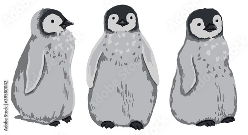 Cute emperor penguin chicks. Collection of hand drawn vector animal illustration. Realistic cartoon colored drawing of wild bird isolated on white. Elements set for design, print, card, decor, sticker