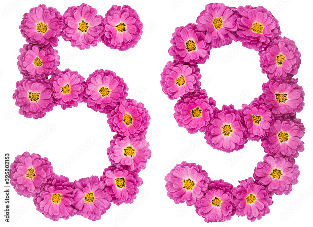 Arabic numeral 59, fifty nine,59, fifty nine, from flowers of chrysanthemum, isolated on white background