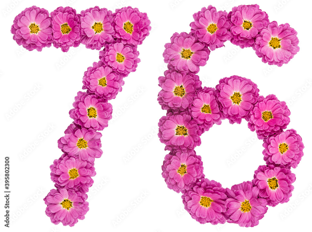 Arabic numeral 76, seventy six, from flowers of chrysanthemum, isolated on white background Arabic numeral 76, seventy six, from flowers of chrysanthemum, isolated on white background