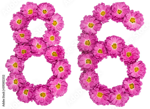Arabic numeral 86, eighty six, from flowers of chrysanthemum, isolated on white background